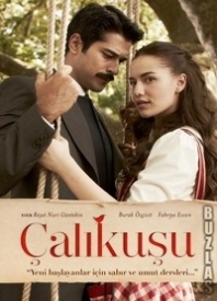 Смотреть сериал Королек – птичка певчая 2013 онлайн