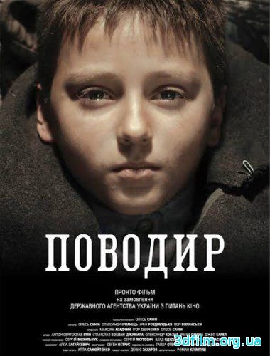Поводырь / The Guide смотреть онлайн