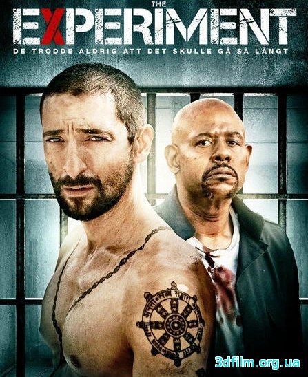 Эксперимент (2010) смотреть онлайн